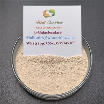 -Galactosidase